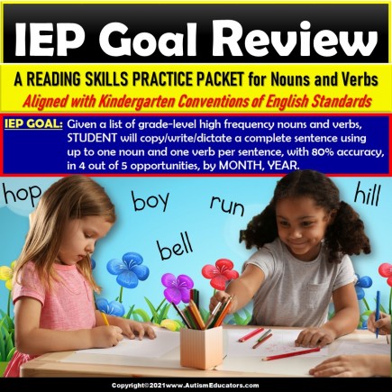 Nouns and Verbs in Sentences | Review Packet for IEP Goals for Special Education